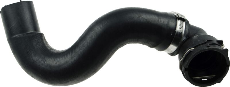 Radiator Hose -
