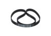 Timing Belt -
