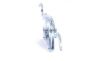 Mount, exhaust system WALKER OSA