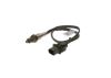 Oxygen Sensor -