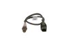 Oxygen Sensor -