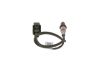 Oxygen Sensor -