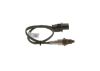Oxygen Sensor -