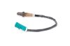 Oxygen Sensor -