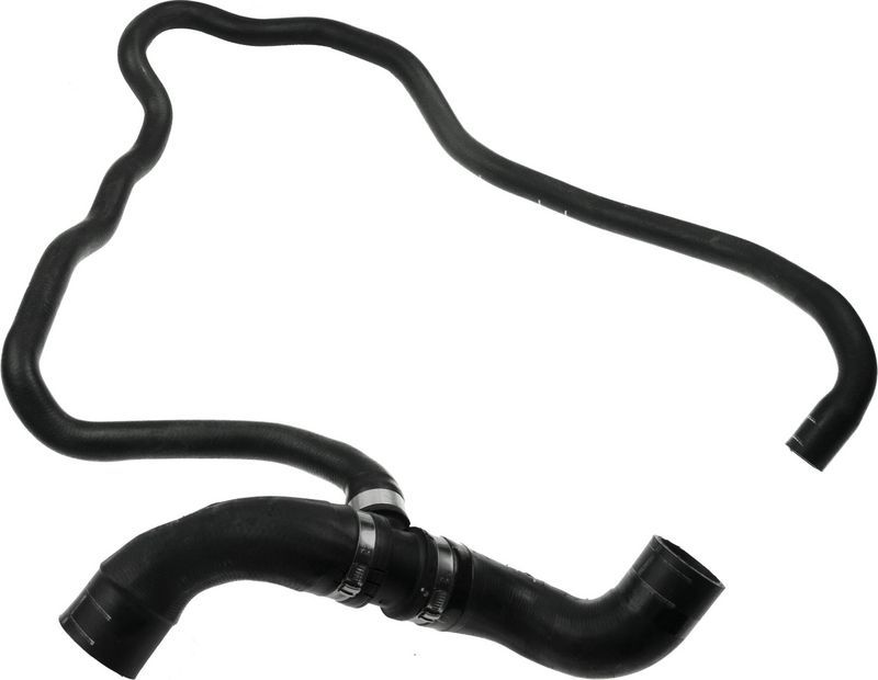 Radiator Hose -