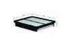 Air Filter SANTA FE