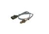 Oxygen Sensor -