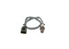 Oxygen Sensor -