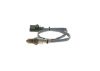 Oxygen Sensor -