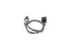 Oxygen Sensor -