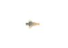 Oil Pressure Switch -