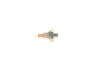Oil Pressure Switch -