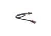 Oxygen Sensor -