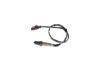 Oxygen Sensor -
