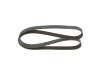 V-Ribbed Belt -