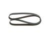 V-Ribbed Belt -