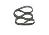 V-Ribbed Belt -