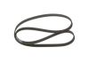 V-Ribbed Belt -