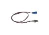 Oxygen Sensor -