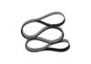 V-Ribbed Belt -