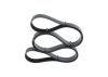 V-Ribbed Belt -