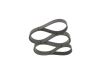 V-Ribbed Belt -