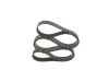 V-Ribbed Belt -