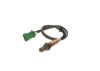 Oxygen Sensor -