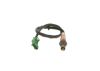Oxygen Sensor -