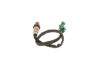 Oxygen Sensor -