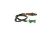 Oxygen Sensor -