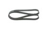 V-Ribbed Belt -