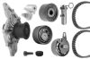 Water Pump & Timing Belt Kit PASSAT (3B2), PASSAT (3B3)