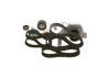 Water Pump & Timing Belt Kit PASSAT (3B2), PASSAT (3B3)