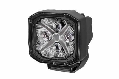 Spotlight -