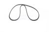 Timing Belt -