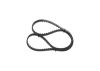 Timing Belt -