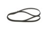 Timing Belt -