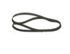 Timing Belt -