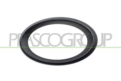 Frame, front fog light -