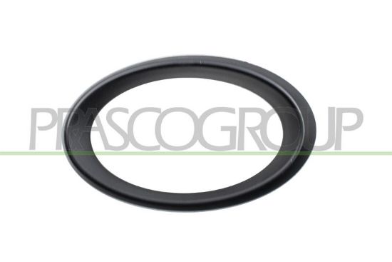 Frame, front fog light -