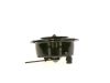 Signal Horn SUPERTONE HORN