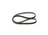 V-Ribbed Belt -