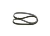 V-Ribbed Belt -