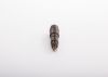 Nozzle and Holder Assembly -