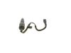 Nozzle and Holder Assembly -