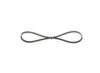 V-Ribbed Belt -
