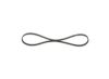 V-Ribbed Belt -