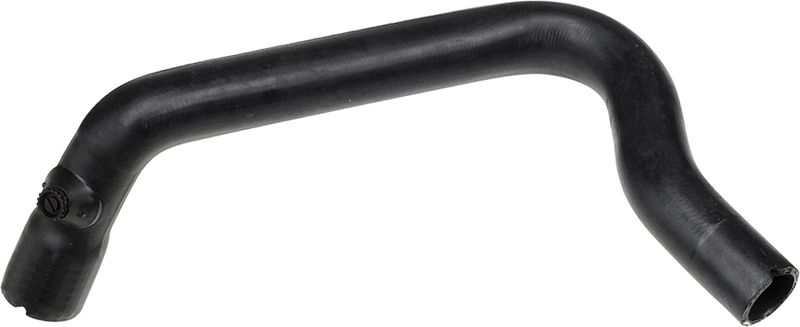 Radiator Hose -
