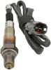 Oxygen Sensor -